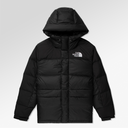 The North Face Men’s HMLYN Down Parka In Black
