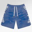Godspeed Courtside Shorts In Blue with Stripes