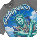 Godspeed Empire Guardian T-shirt (Grey)