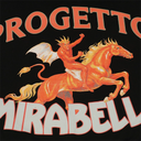 PDF Channel Mi Progetto Mirabella Hoodie In Black