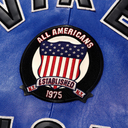 Avirex Icon Jacket In Blue