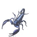 Artmeetschoas Chela Predator T-Shirt