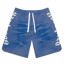 Godspeed Courtside Shorts In Blue with Stripes