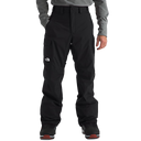 The North Face Men’s Freedom Insulated Pants