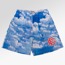 Eric Emanuel EE Basic Shorts Sky