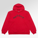Spider Webstone AOP Hoodie In Burgundy