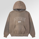 Purple Brand Slab Outline Hoodie