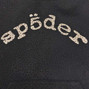 Spider Webstone AOP Hoodie In Black